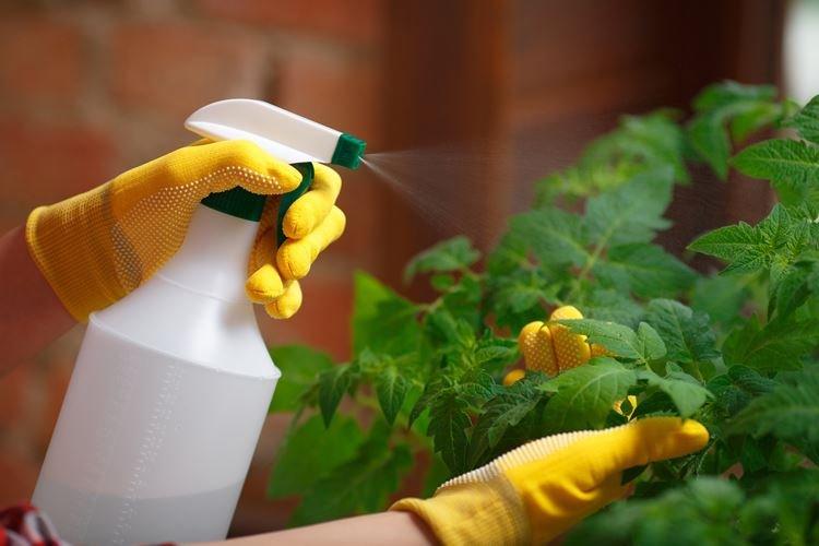 Контактные фунгициды для растений - Принцип работы