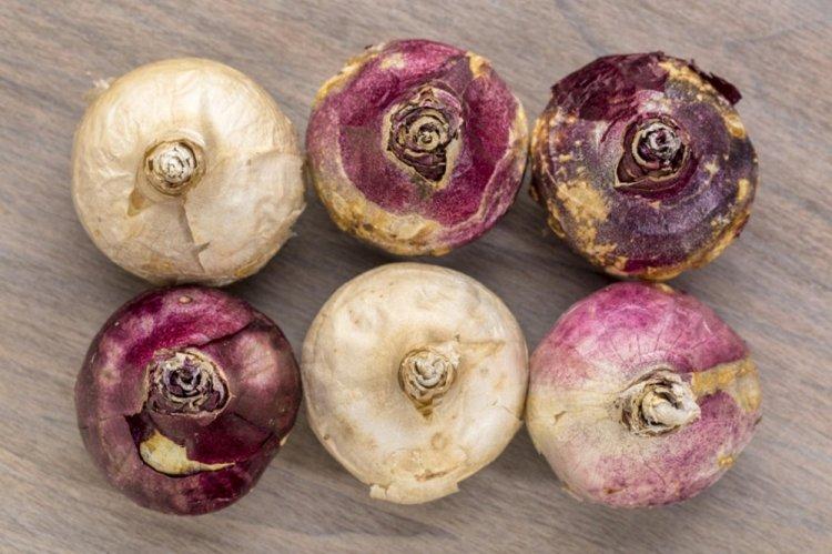 Обрезка после цветения - Уход за гиацинтом