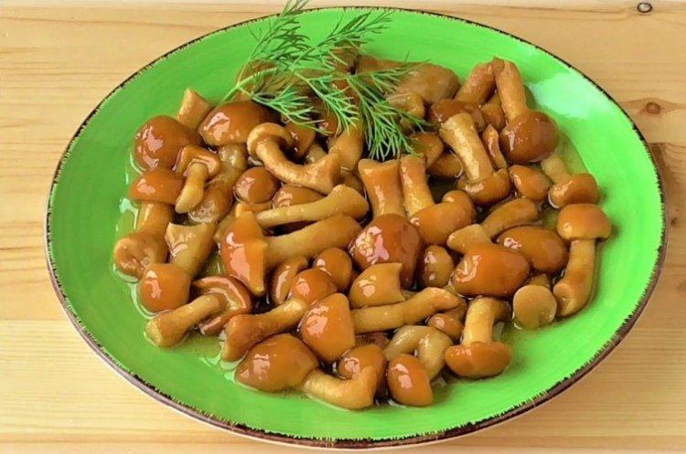 Как и сколько варить опята для супа и запеканок