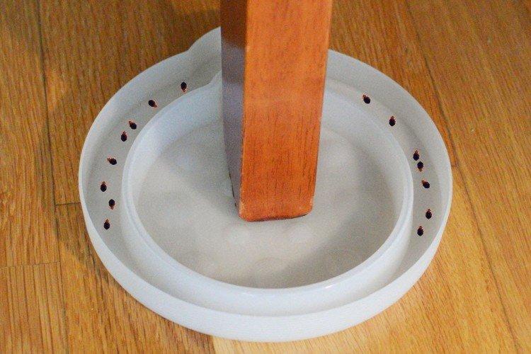 Клеевые ловушки - Как избавиться от клопов в домашних условиях