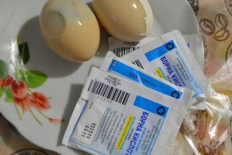 Борная кислота - Как избавиться от тараканов в квартире