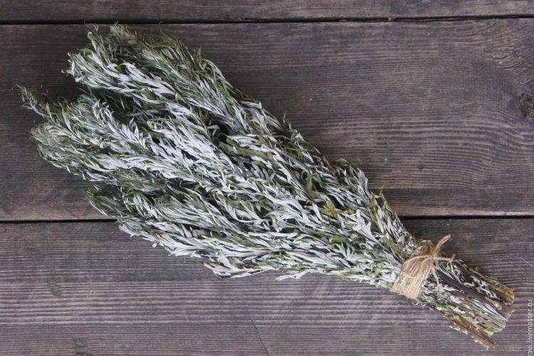 Полынь - Как избавиться от тараканов