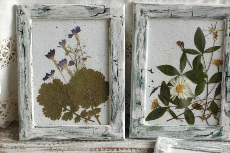 Картины из сухоцветов своими руками