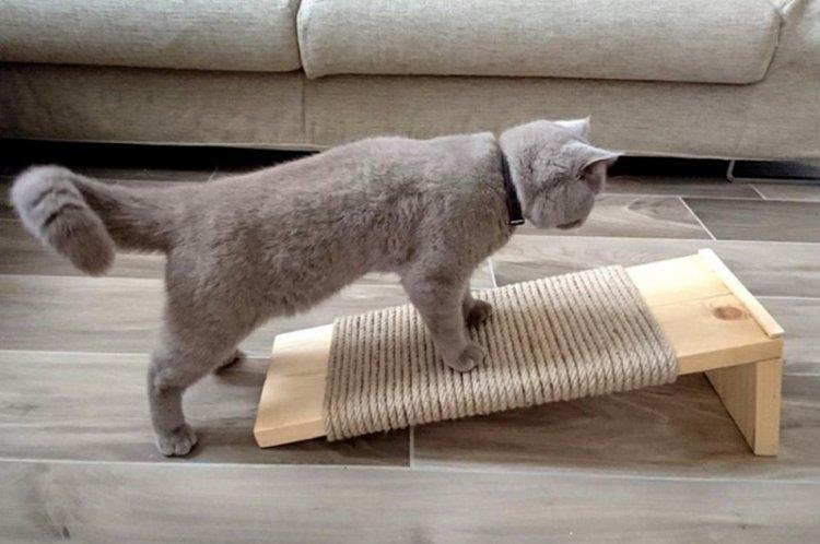 Напольная когтеточка для кошки своими руками
