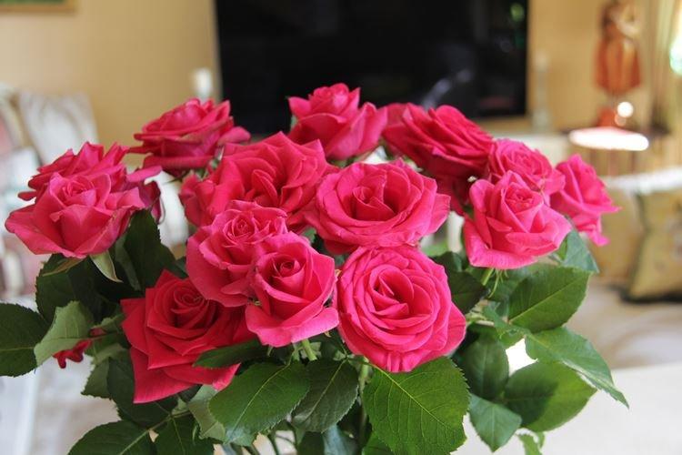 Комнатная роза - фото