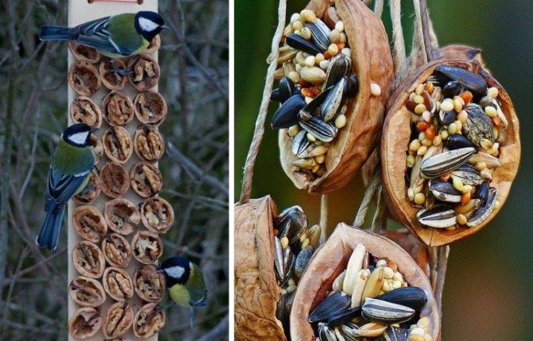 Ореховая доска - Кормушки для птиц своими руками