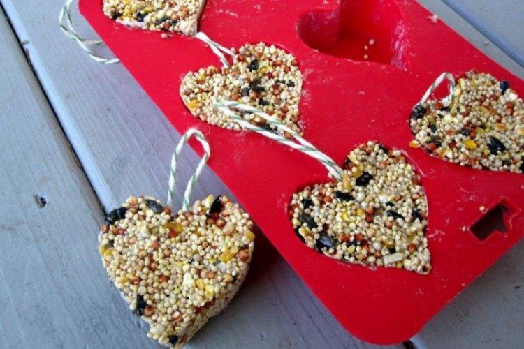 Кормушка-печенье для птиц своими руками