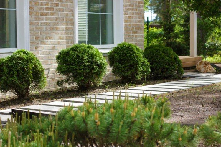 Садовые дорожки - Ландшафтный дизайн дачного участка фото