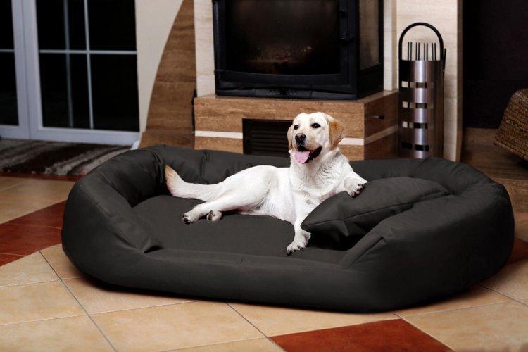 Лежанка-диван для собаки своими руками