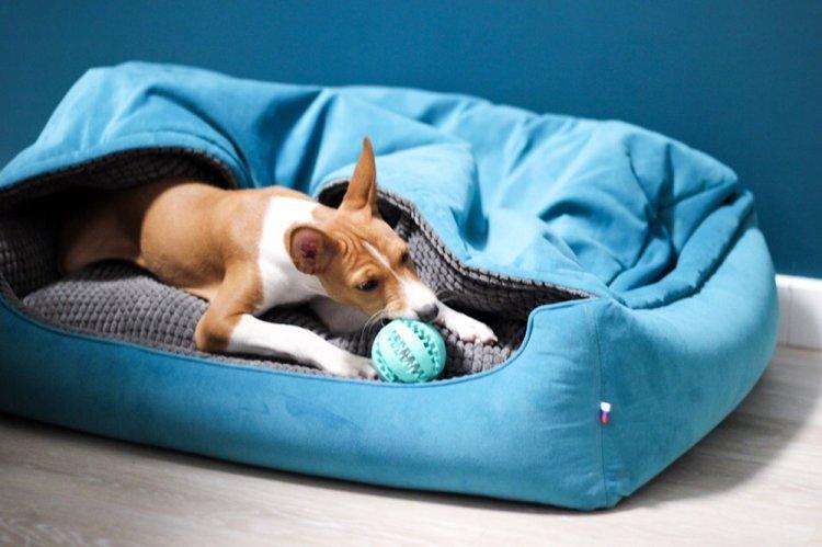 Лежанка для собаки своими руками - фото и идеи