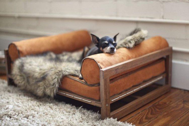 Лежанка для собаки своими руками - фото и идеи