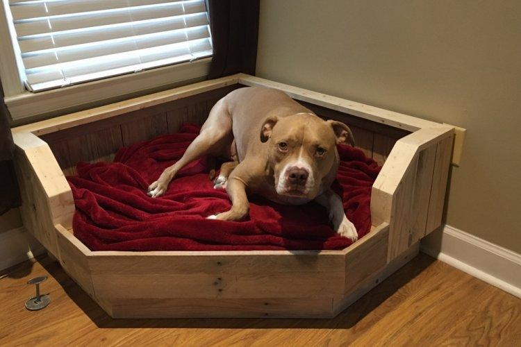 Лежанка для собаки своими руками - фото и идеи