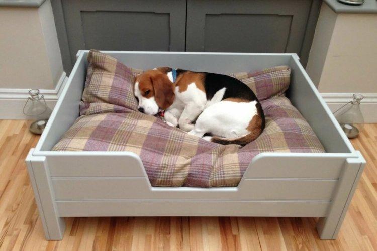 Лежанка для собаки своими руками - фото и идеи