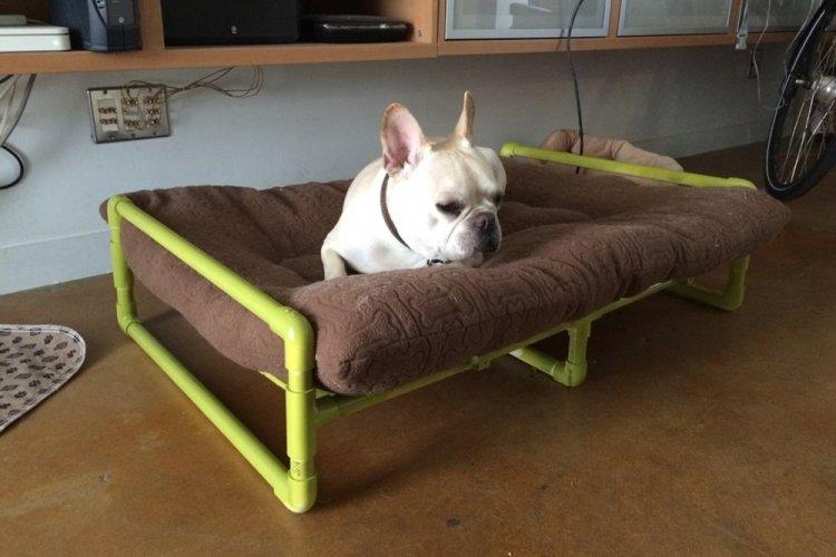 Лежанка для собаки своими руками - фото и идеи