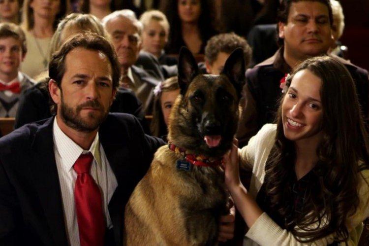 К-9 Рождественские приключения - Лучшие фильмы про Новый год и Рождество