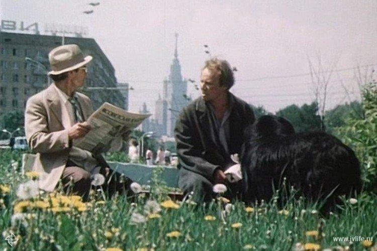 Друг - лучшие фильмы про собак