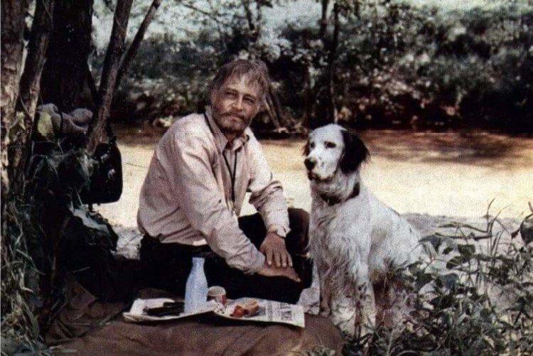 Белый Бим Черное ухо - лучшие фильмы про собак