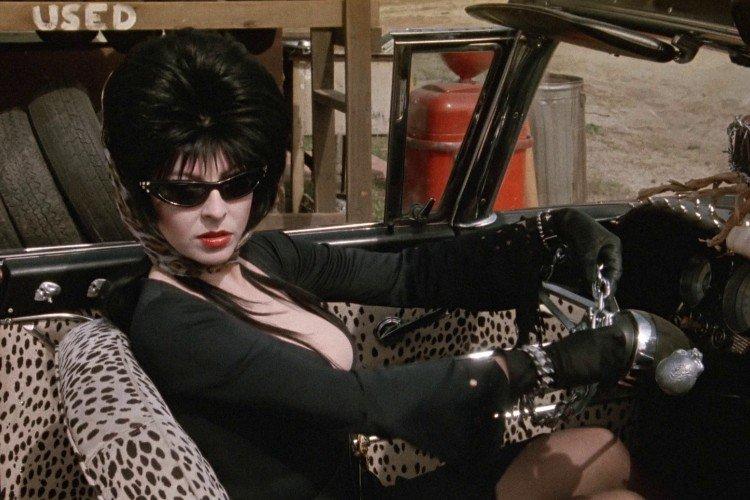 Эльвира повелительница тьмы - Лучшие фильмы про ведьм