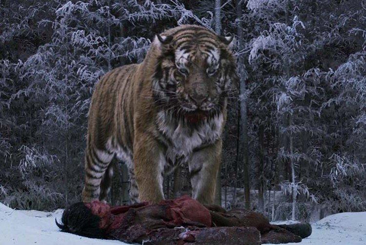 Тигр - Лучшие корейские фильмы