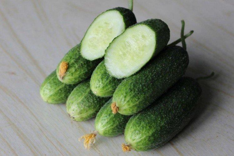 Алекс - Самоопыляемые или партенокарпические сорта огурцов