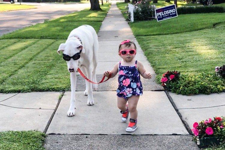 Модный приговор - Маленькие дети и их большие собаки