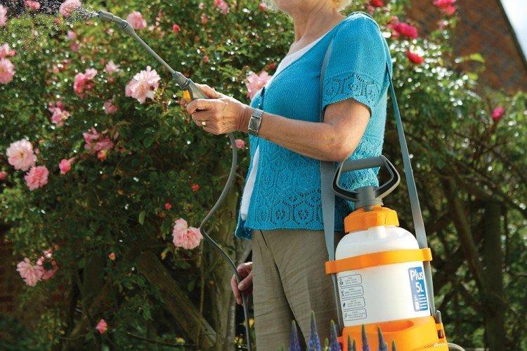 Медный купорос от грибка - применение в садоводстве