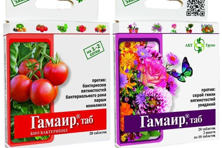 Гамаир - Обработка крыжовника от мучнистой росы