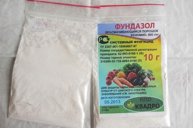 Фундазол - Обработка крыжовника от мучнистой росы