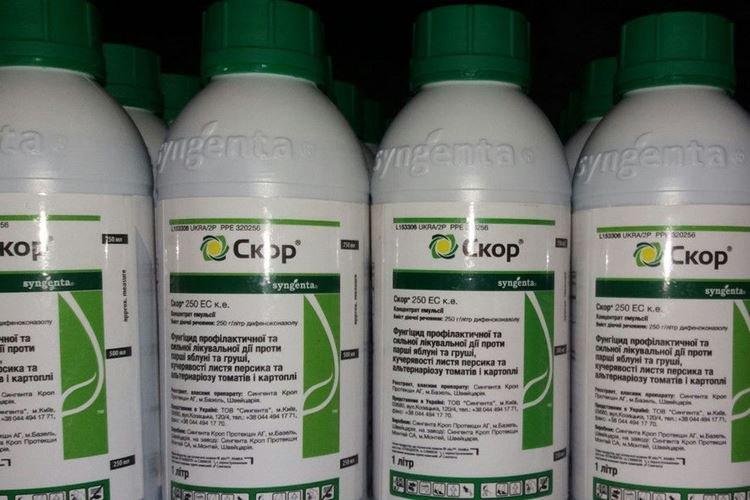 Скор - Обработка крыжовника от мучнистой росы