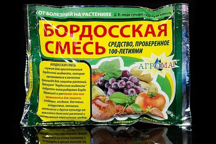 Бордосская жидкость - Обработка розы от мучнистой росы