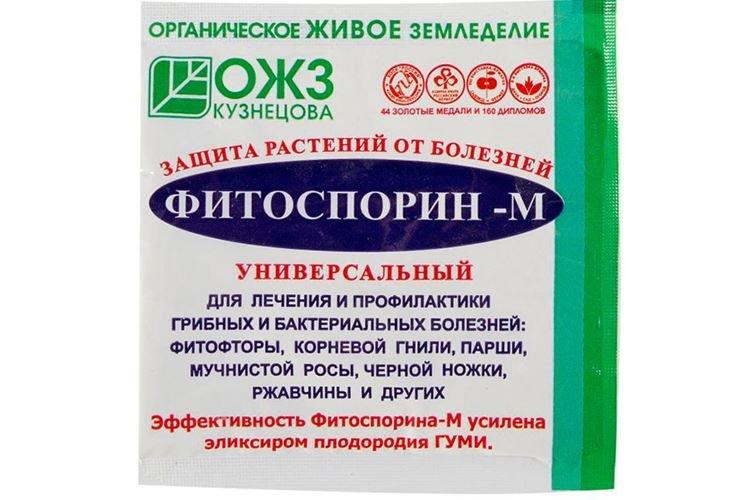 Фитоспорин - Обработка розы от мучнистой росы