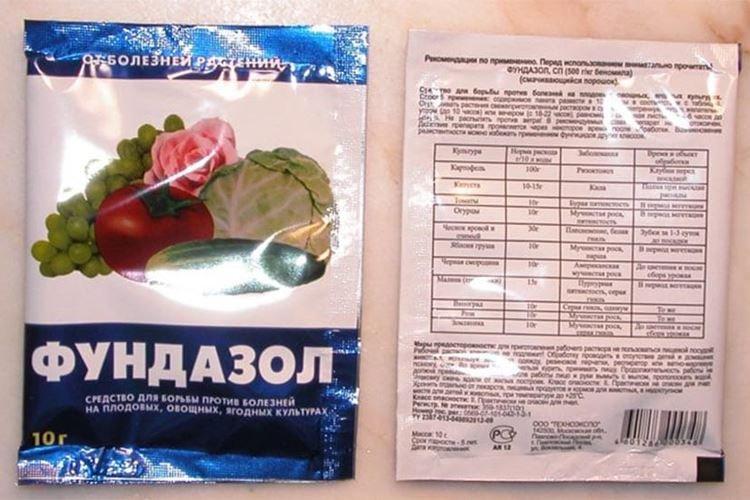 Фундазол - Обработка розы от мучнистой росы
