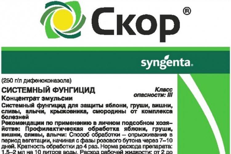 Скор - Обработка розы от мучнистой росы