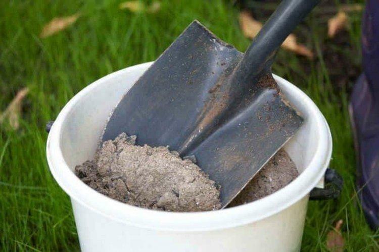 Обработка смородины золой от грибка