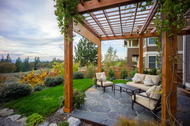 Растения для перголы