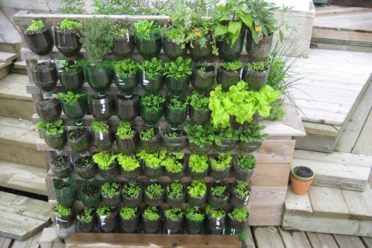 Зеленая стена - Поделки из пластиковых бутылок своими руками