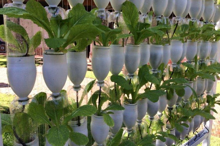 Зеленая стена - Поделки из пластиковых бутылок своими руками