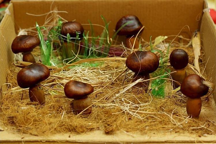 Поделки из природного материала для начальной школы - фото и идеи