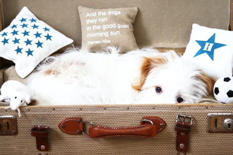 Поделки из старого чемодана - Поделки из старых вещей своими руками