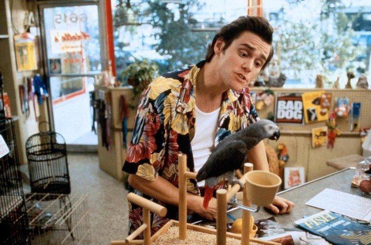 Эйс Вентура: Розыск домашних животных - Комедии чтобы поржать до слез