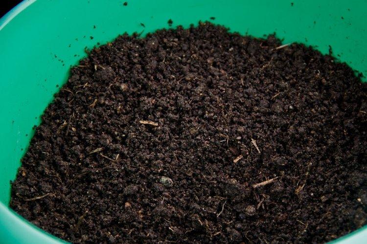 Почва - Уход за спатифиллумом