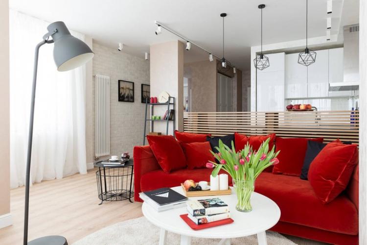 Зонирование однокомнатной квартиры - фото, идеи и способы